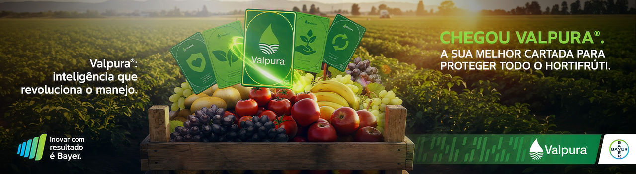 Valpura® – fungicida sistêmico Bayer para controle de doenças foliares em hortifrúti